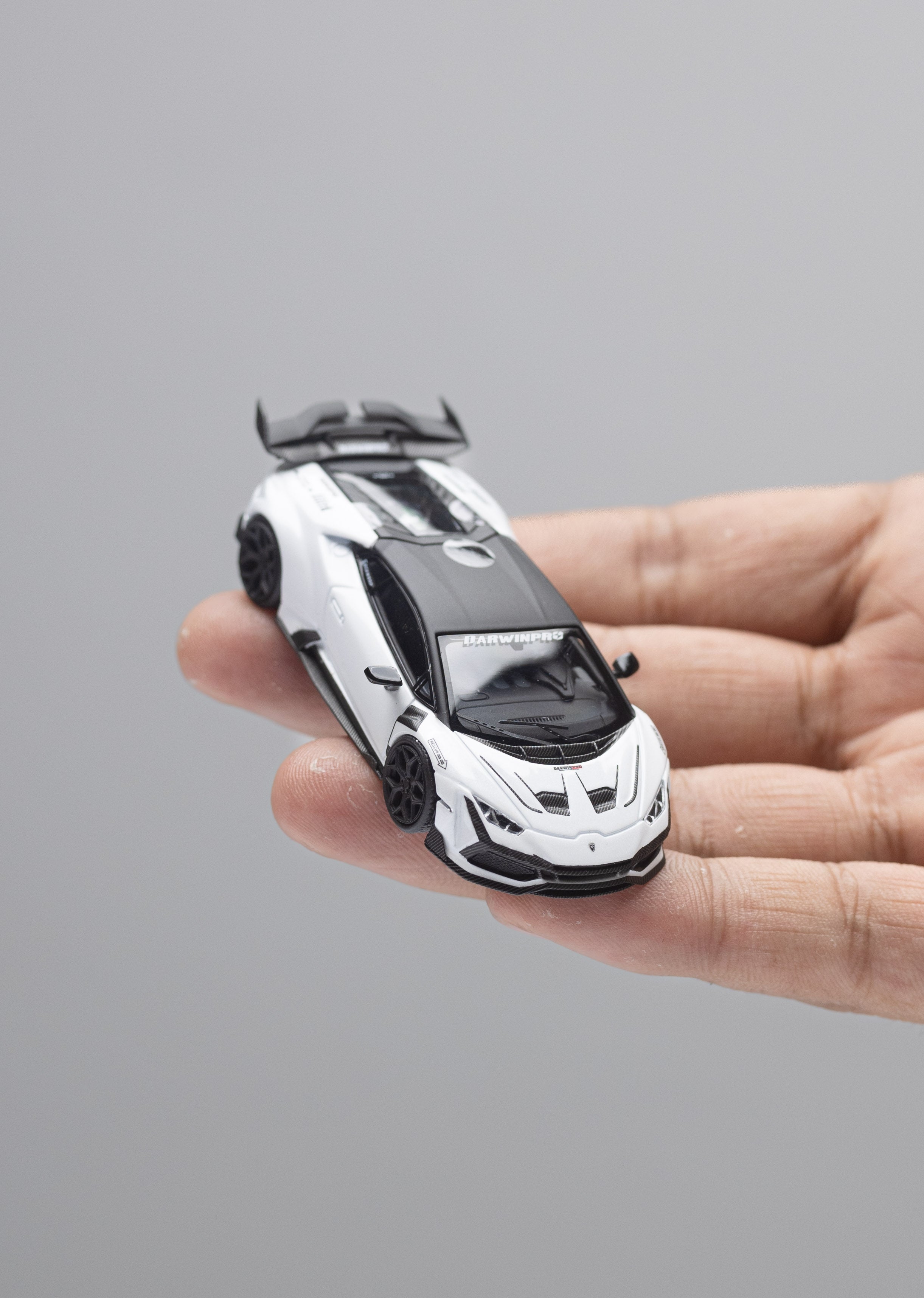 チャン　グエン1/64 Huracan Lilith WBK ミニカー King Model 1:64 Hurricane Huracan DarwinPRO The 