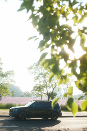 Mangogo smart intelligent expression robot - Black Color