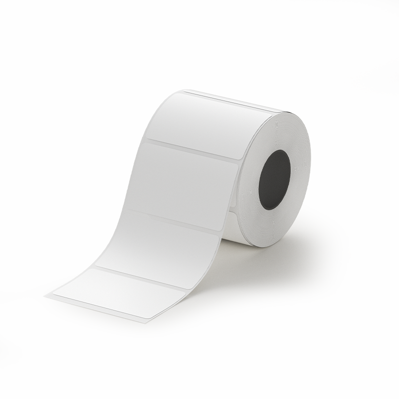 1ED01783001_White-backgroundImage_1783307942430-1457.png