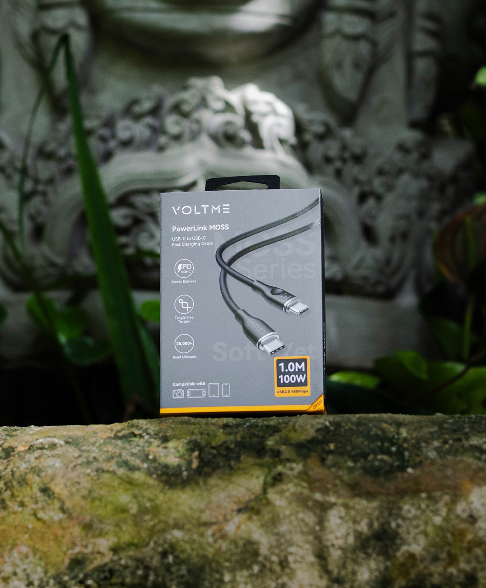 VOLTME, POWERLINK MOSS CTC 3.3FT (5A, 100W) EMARKER | BLACK