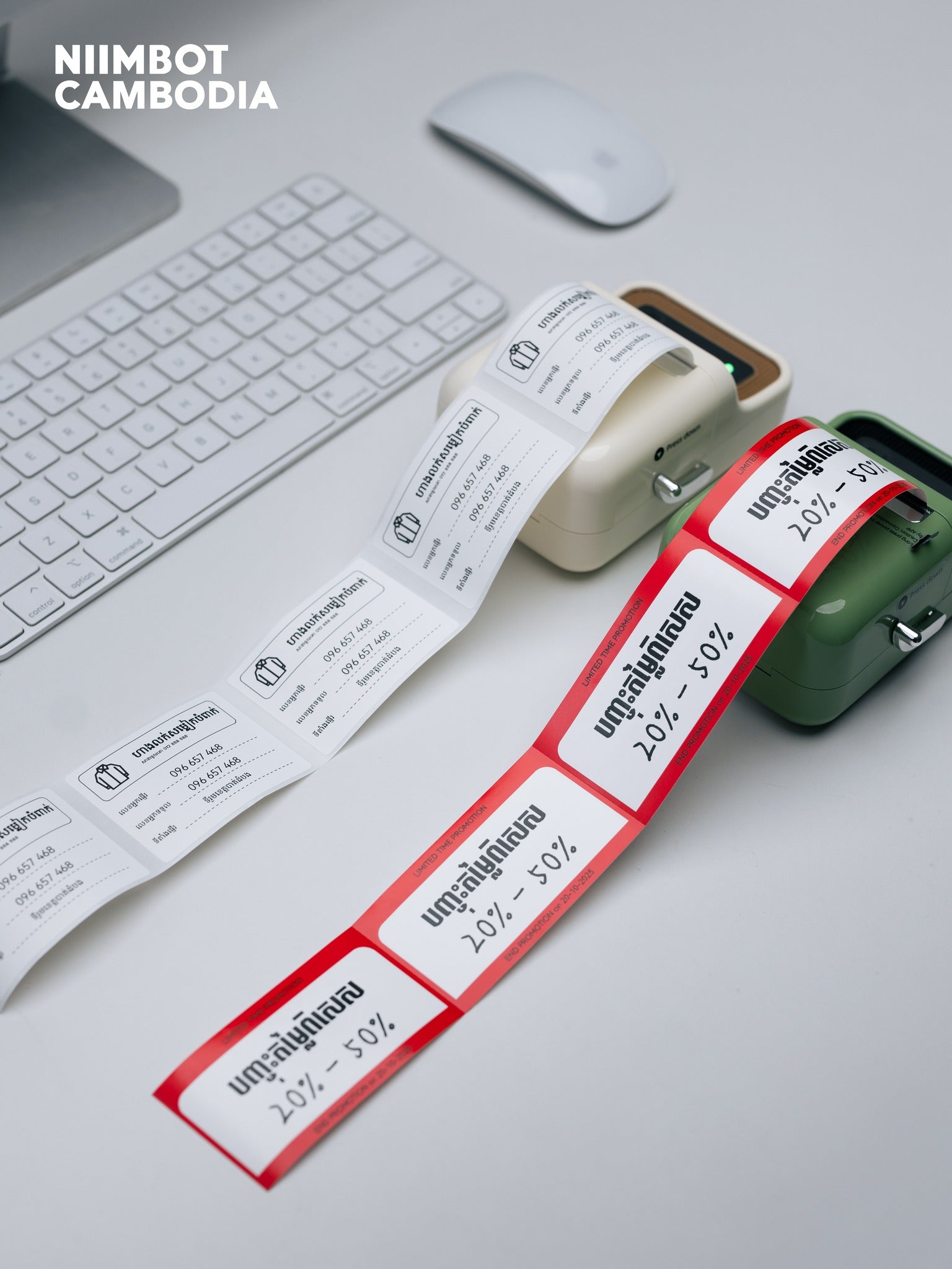 NIIMBOT B21 PRO Portable Inkless Thermal Label Printer