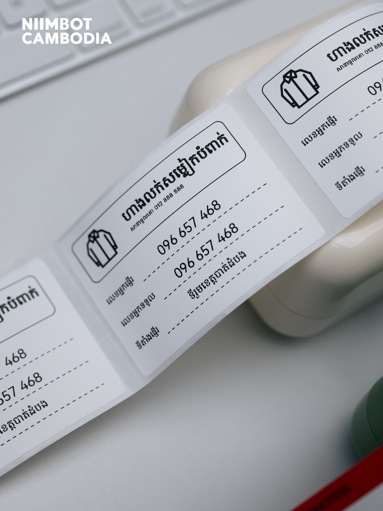 NIIMBOT B21 PRO Portable Inkless Thermal Label Printer