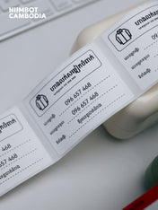 NIIMBOT B21 PRO Portable Inkless Thermal Label Printer