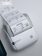 NIIMBOT B31