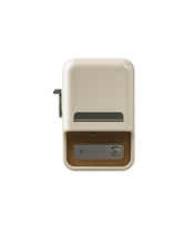 NIIMBOT B21S