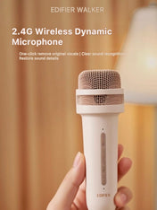 Edifier P203S Speaker and Karaoke